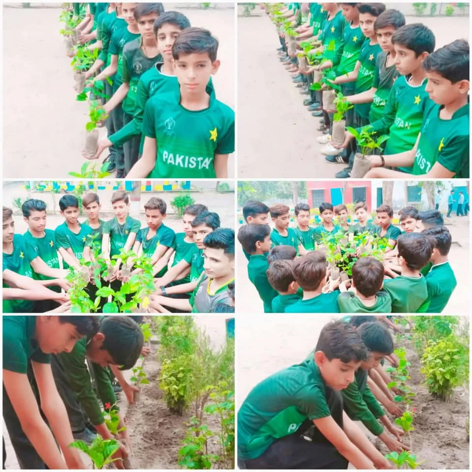 Green Seekers Activity